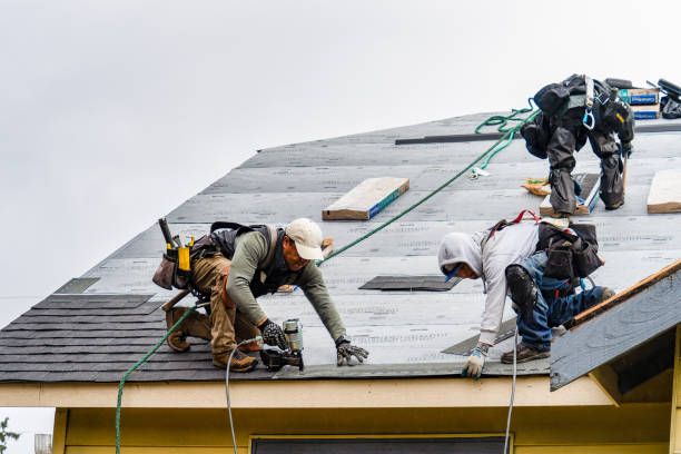 Professional Flat Roof Repair technician working in Machesney Park, IL